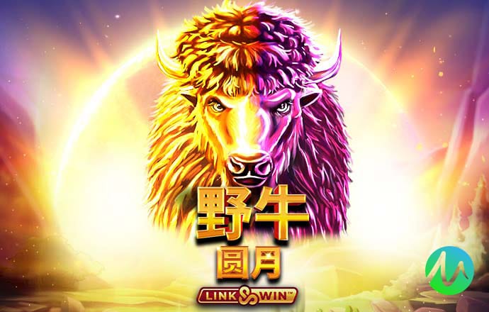 NG电子游戏娱乐
